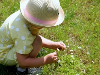 保護寶寶免於農藥除草劑殘留物的危害